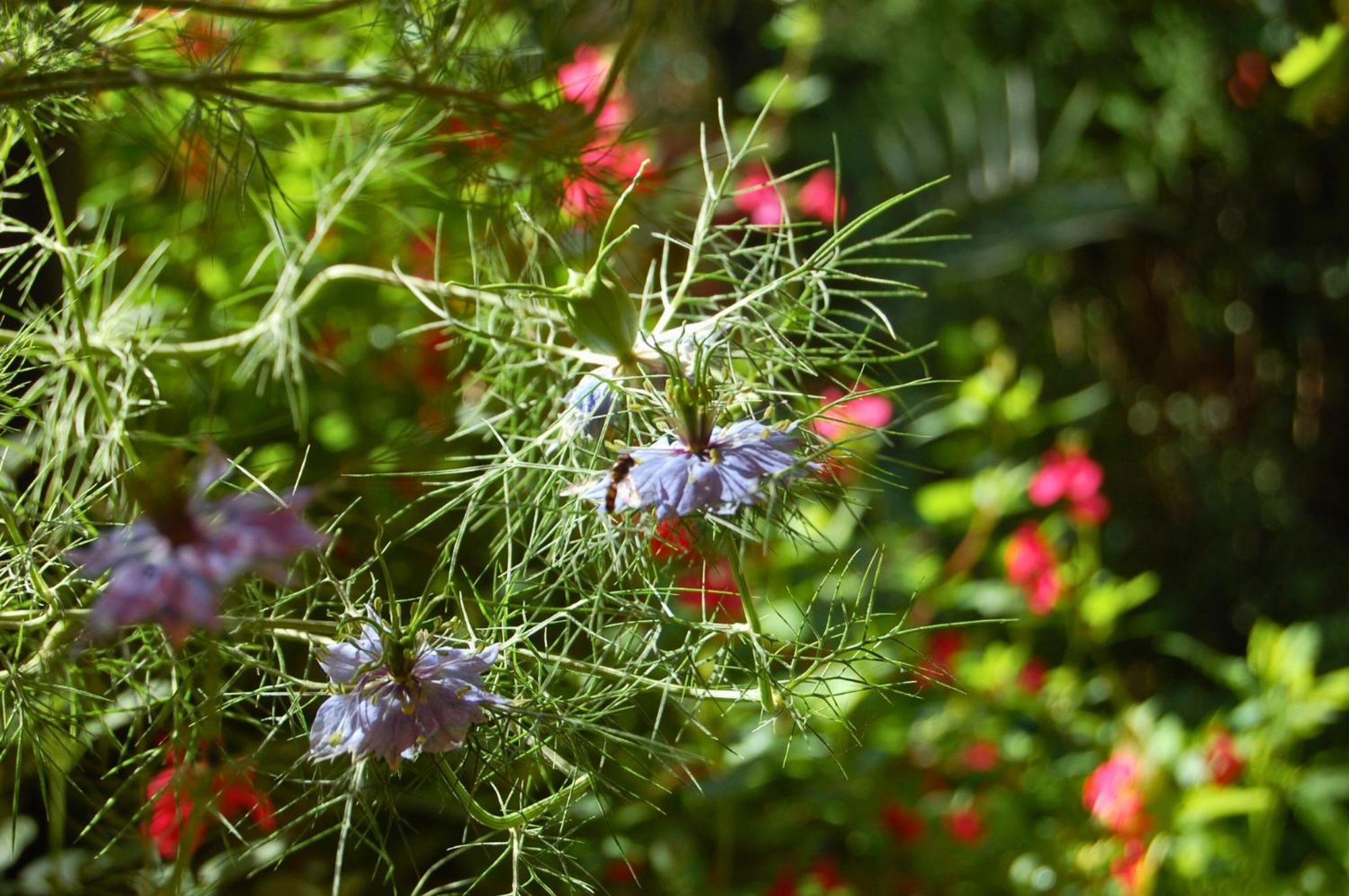 La Bucolique, Chambres Et Jardin D'Hotes 撒波兰 外观 照片